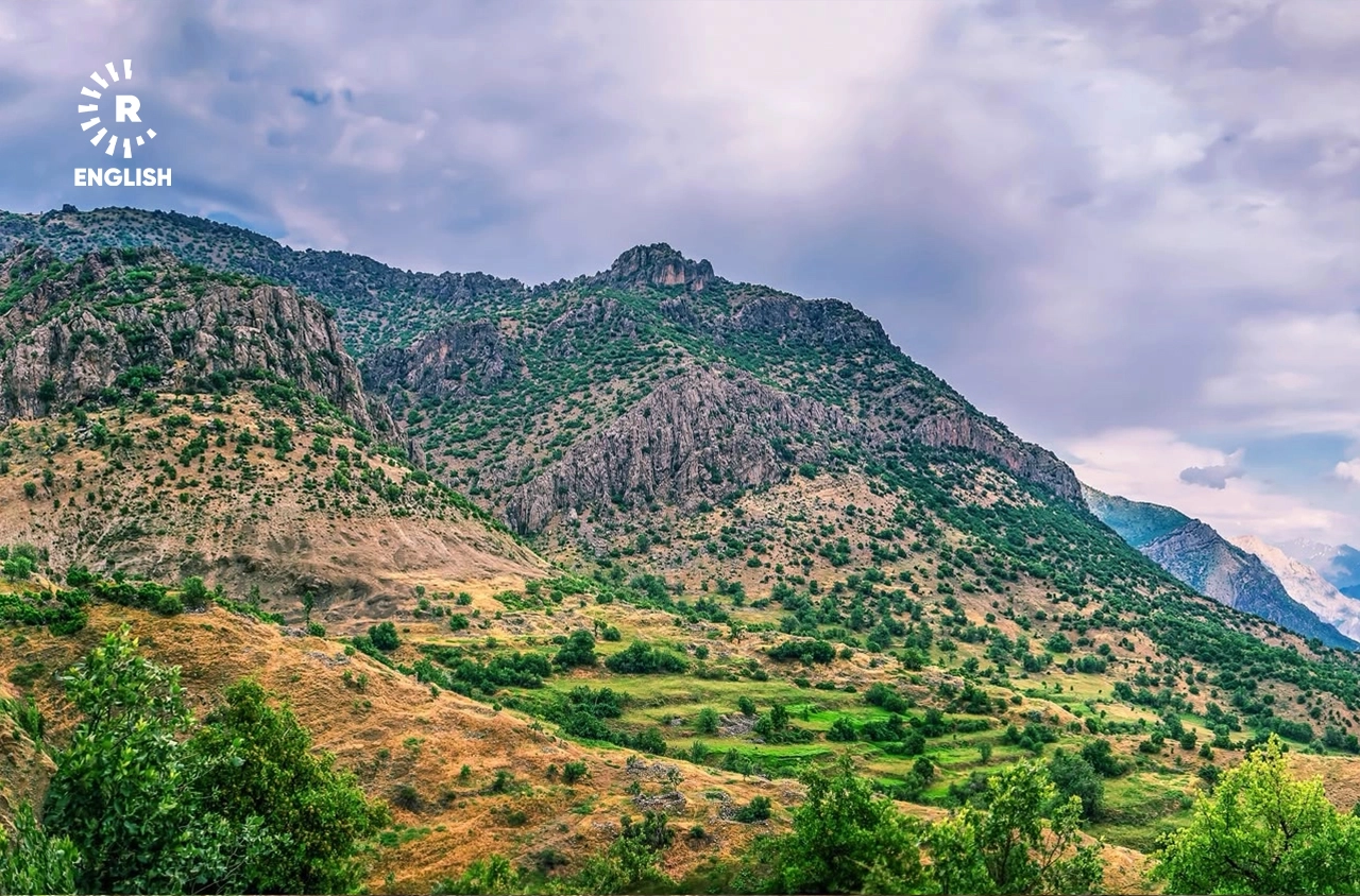 گوندی درێ