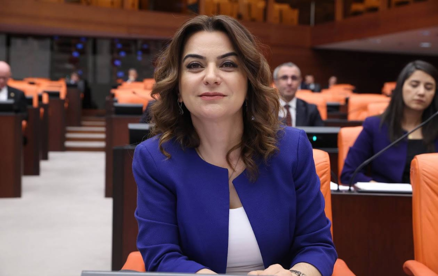 DEM Partî: Pêdiviya aştiyê bi hiqûqê heye