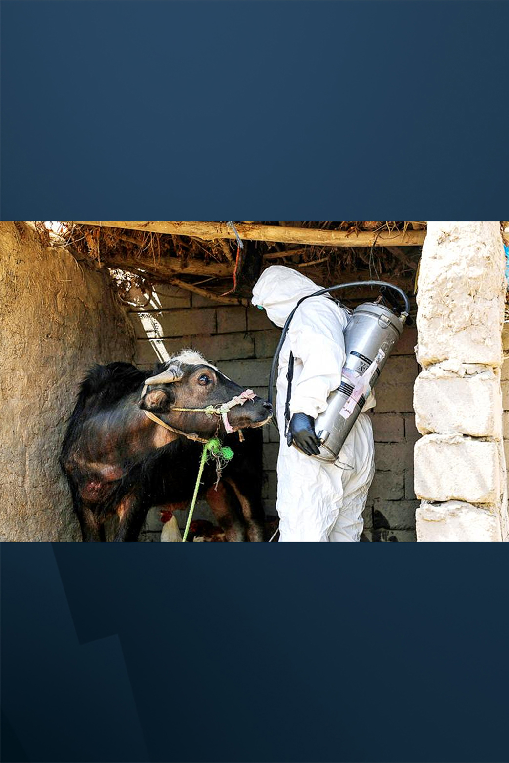 Hemorrhagic fever kills 6 in Iraqi Dhi Qar province as Kurdistan reports no cases