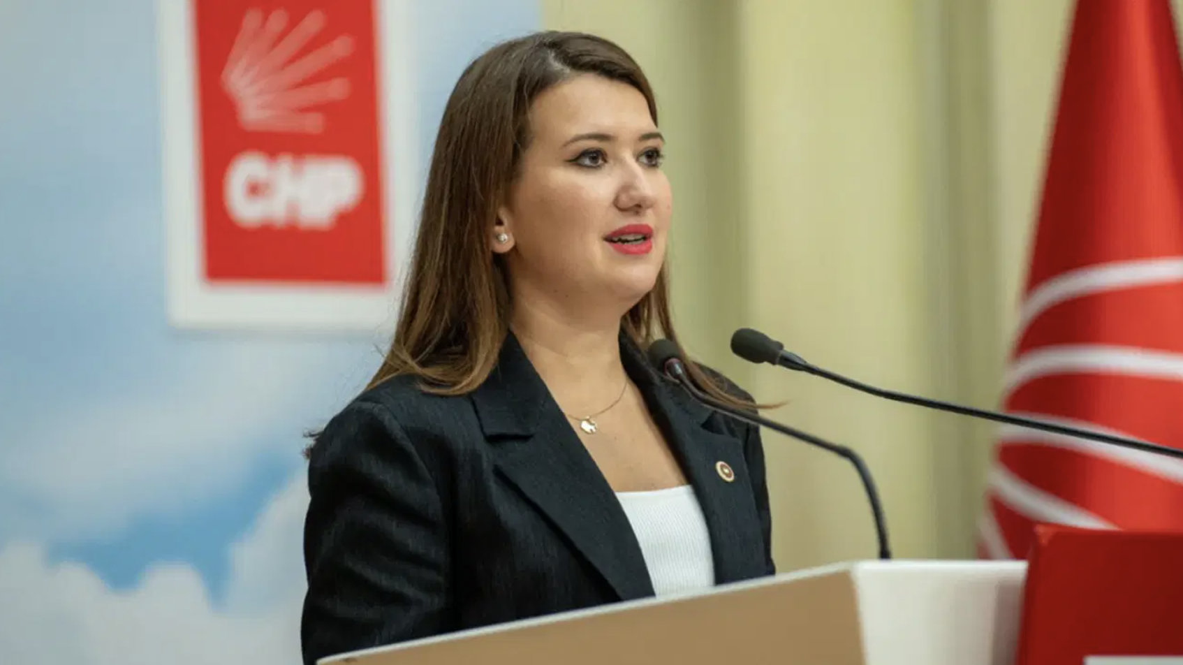 CHP'li Gökçe Gökçen, 