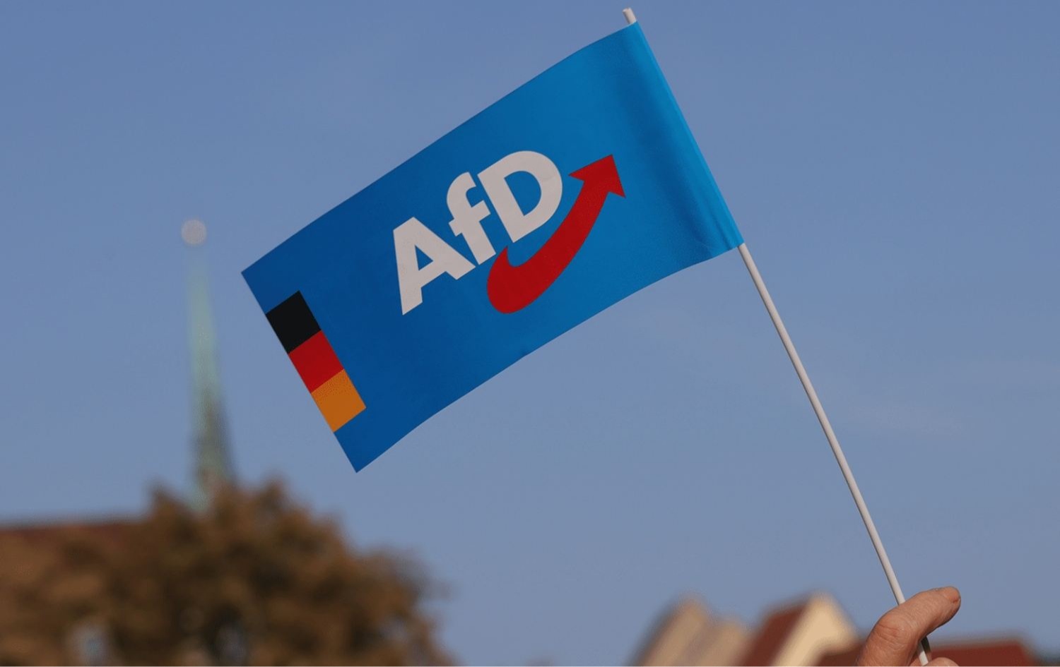 Almanya'da anketlere göre, AfD'nin seçmen potansiyeli rekor 
