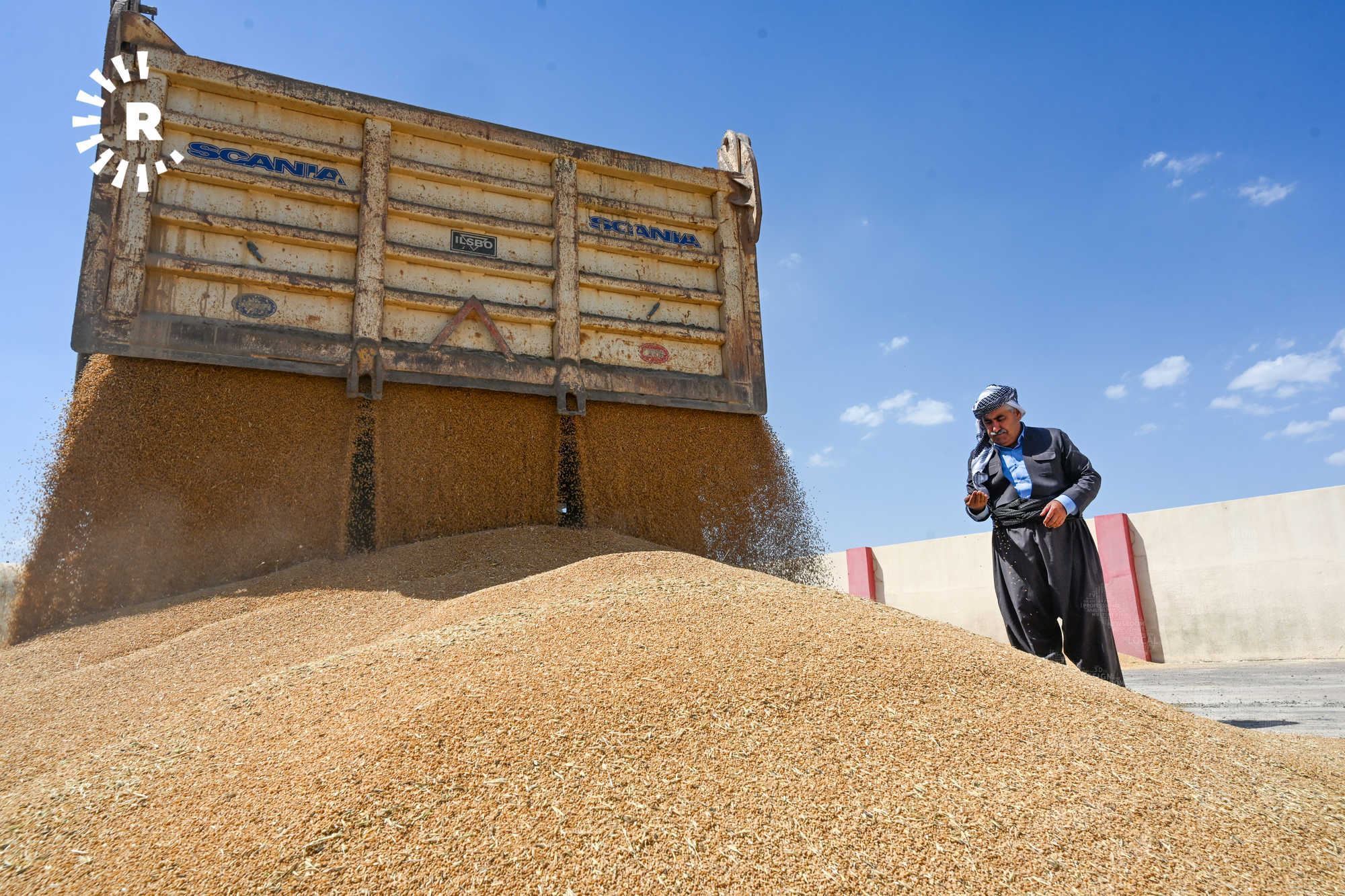 بەڕێوەبەری بازرگانیی دانەوێڵە لە دهۆک: بەغدا تەنیا 13%ی گەنمی جووتیارانی دهۆک وەردەگرێت