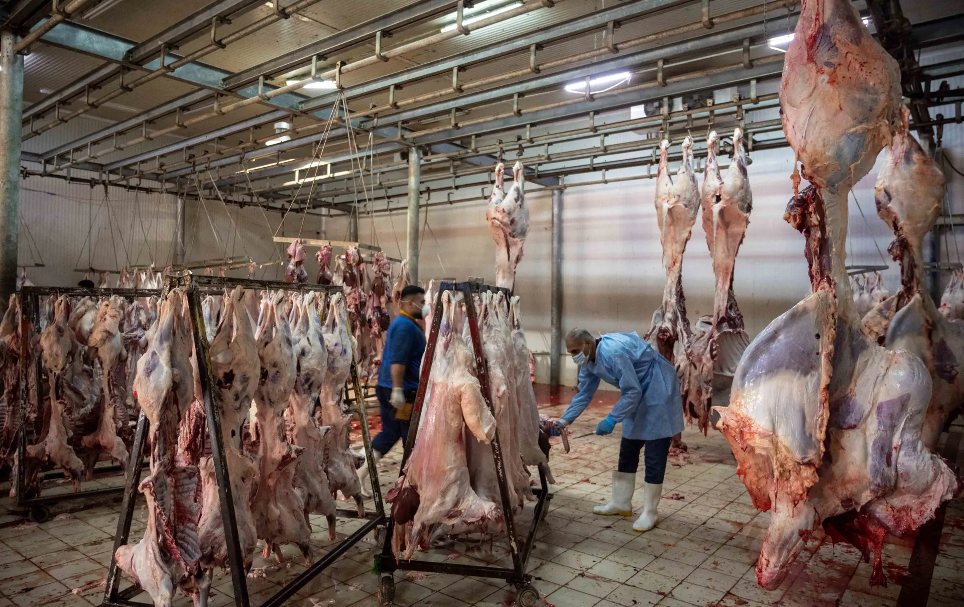 Kurdistan records first hemorrhagic fever cases, one in critical condition