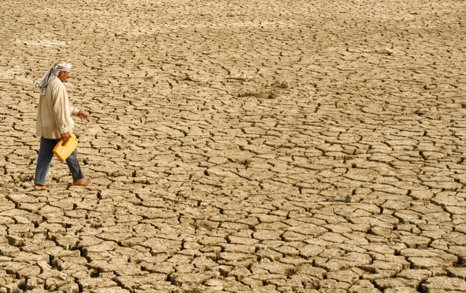 عێراق20-06-2026وەزارەتی کشتوکاڵی عێراق: رووبەری زەوییە بەبیابانبووەکان دیاری دەکرێ