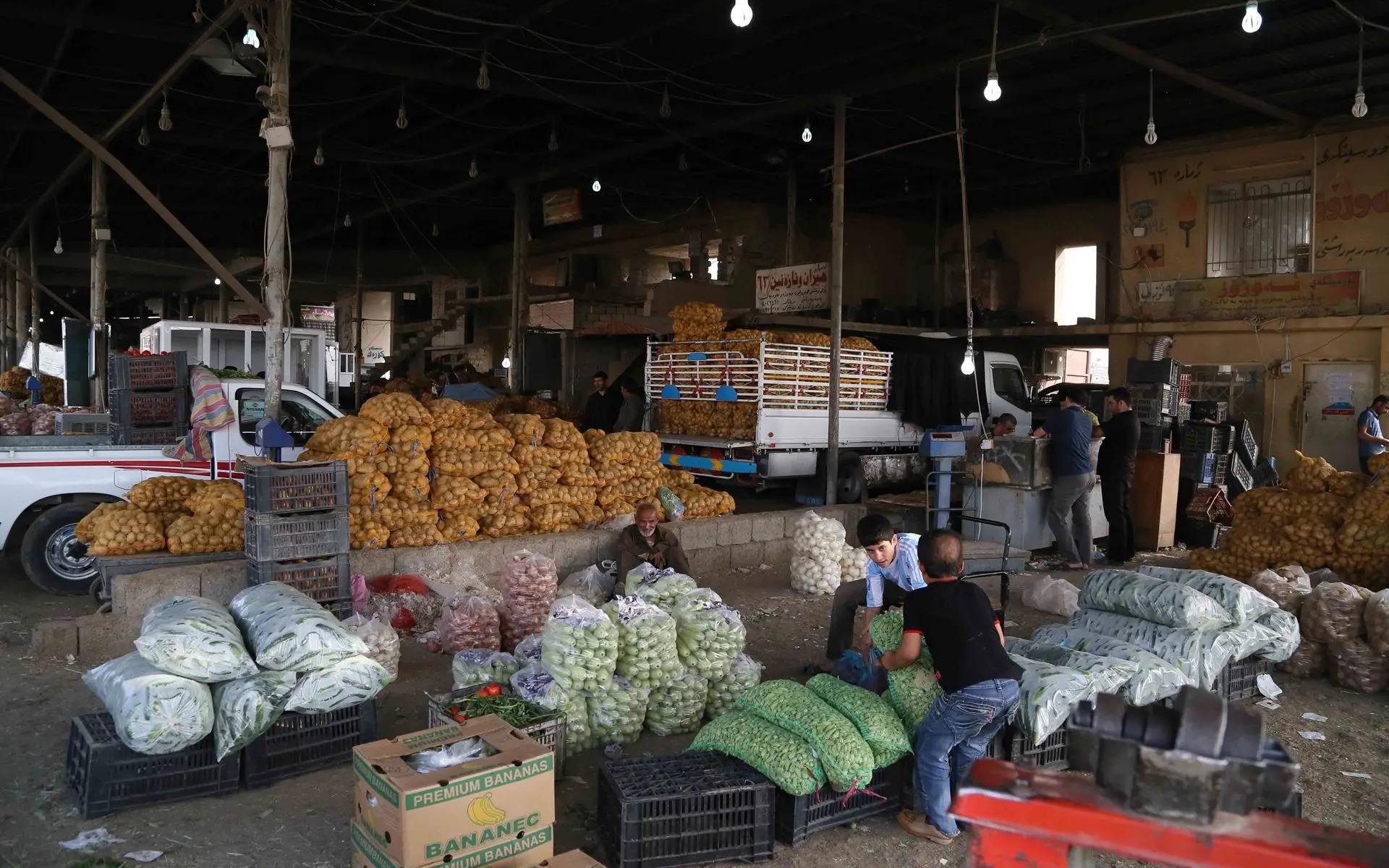 هەواڵە ناوخۆییەکان27-06-2026هەرێمی کوردستان رۆژانە زیاتر لە 1500 تۆن سەوزە و میوە رەوانەی پارێزگاکانی عێراق دەکات