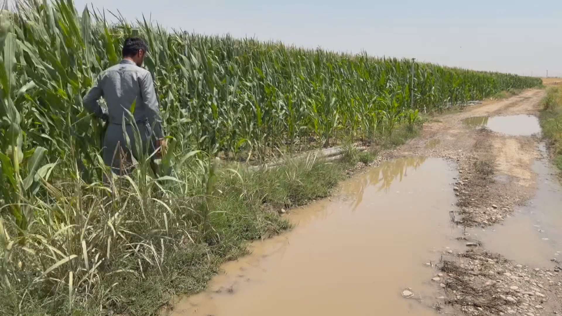 Farmer goes missing near Kirkuk, ISIS involvement suspected