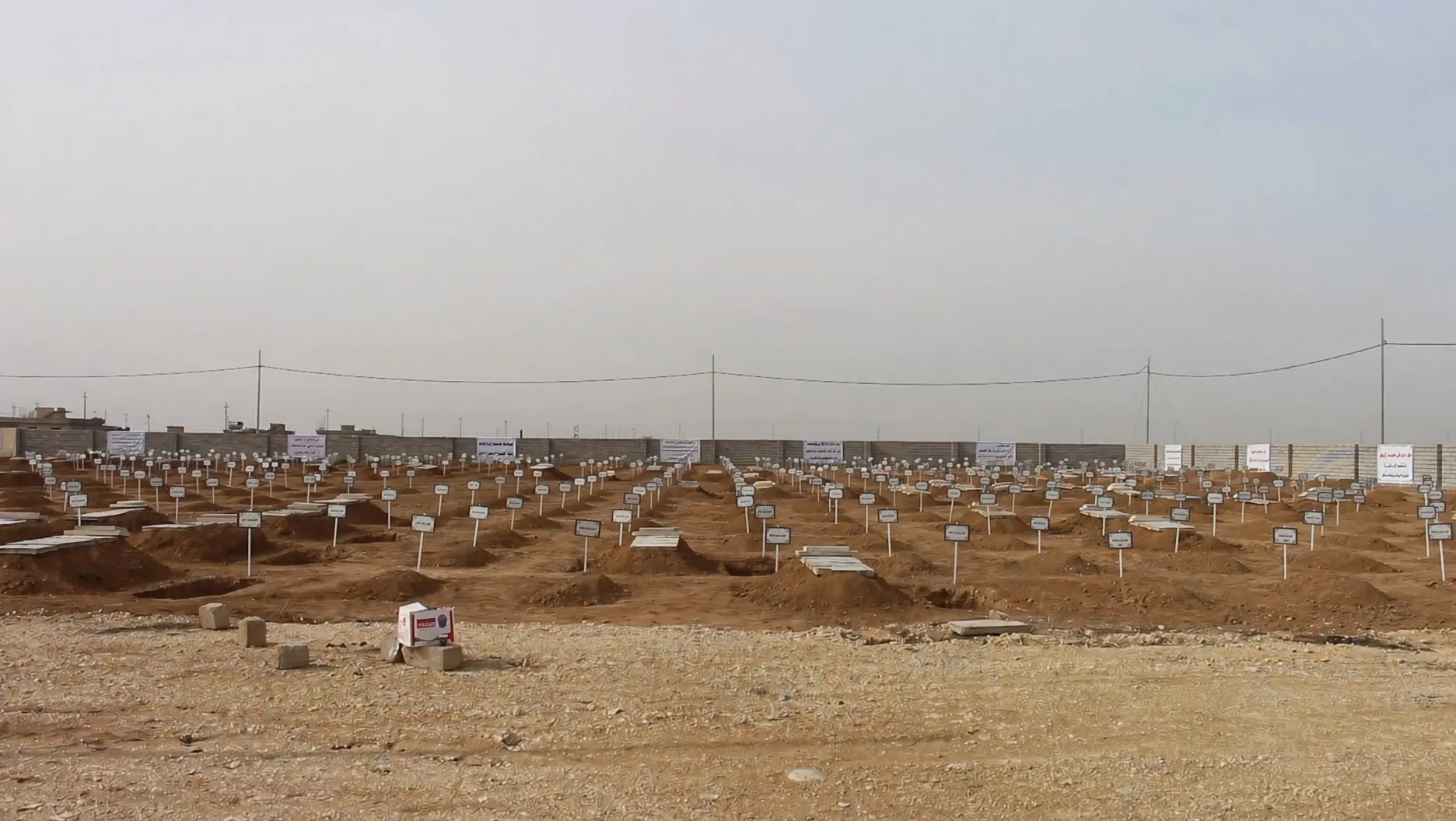 Li Şingalê gora bikom a 67 Kurdên Êzidî tê vekirin