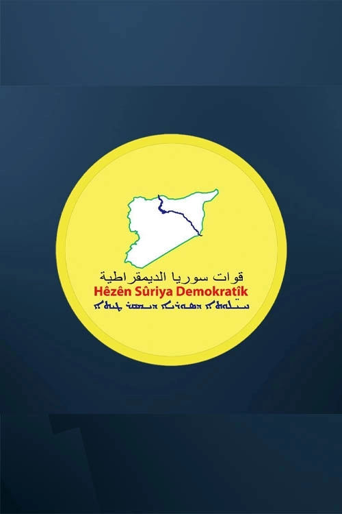 Western, regional countries hail SDF dissolution as step toward unified Syria
