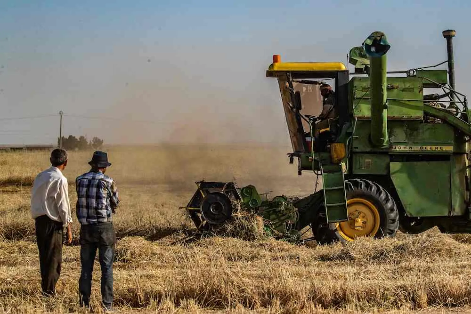 Syria announces wheat self-sufficiency as farmers gripe delayed payouts