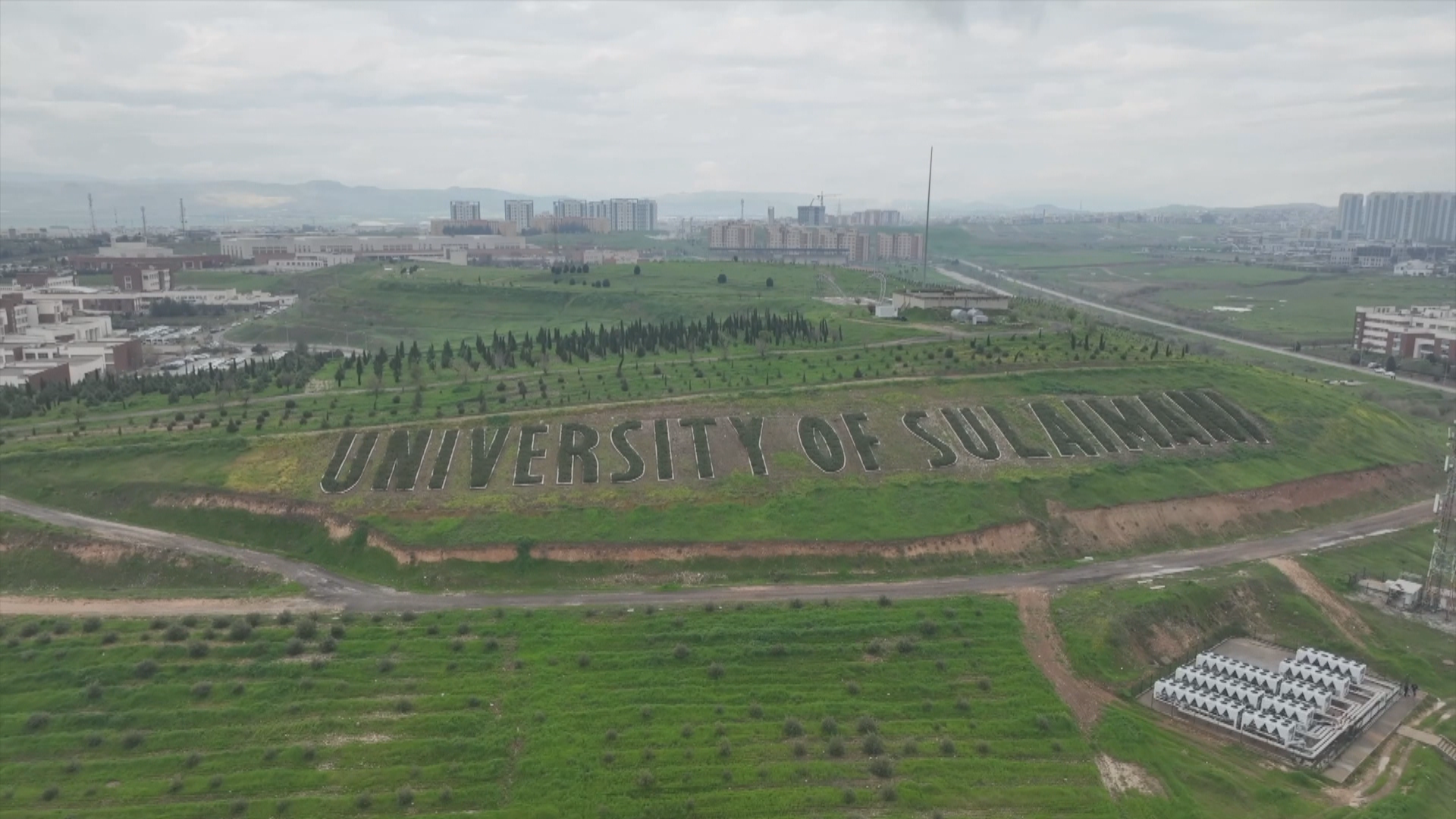 University of Sulaimani sets Guinness record for world's longest tree sentence