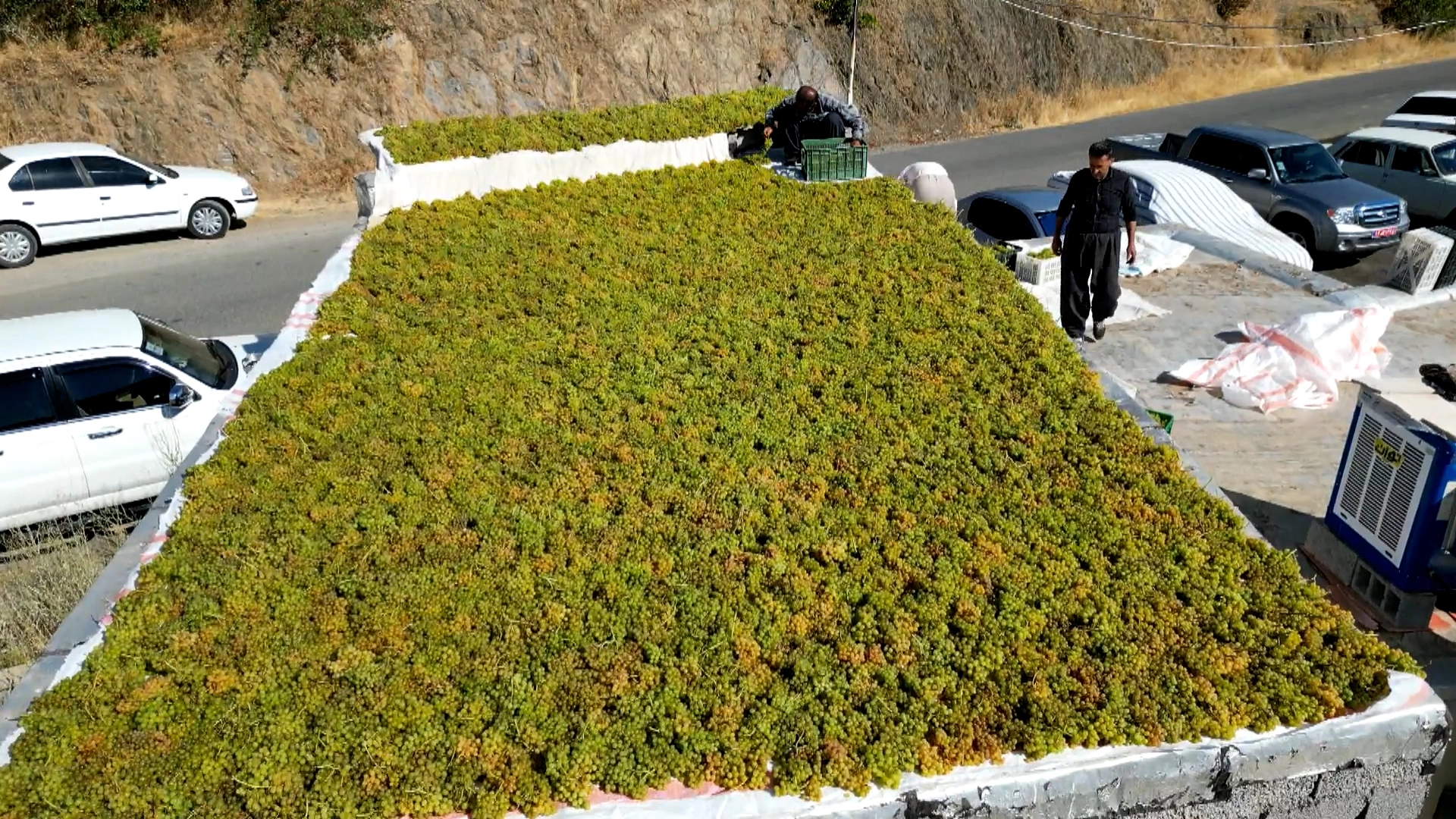 Kurdish village in Iran’s Kurdistan province renowned for raisins