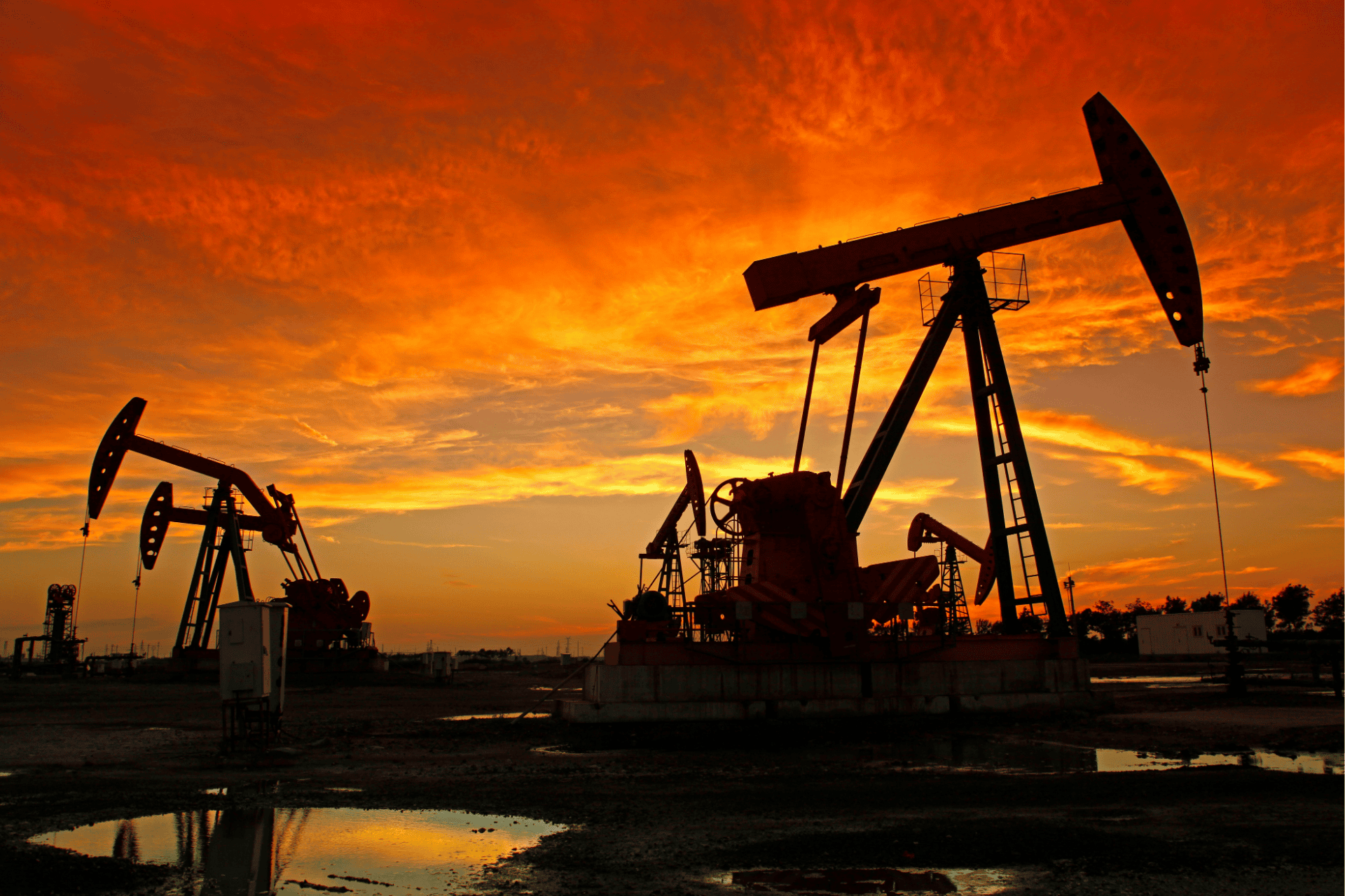 Bihayê petrolê ji 103 dolaran derbas bû