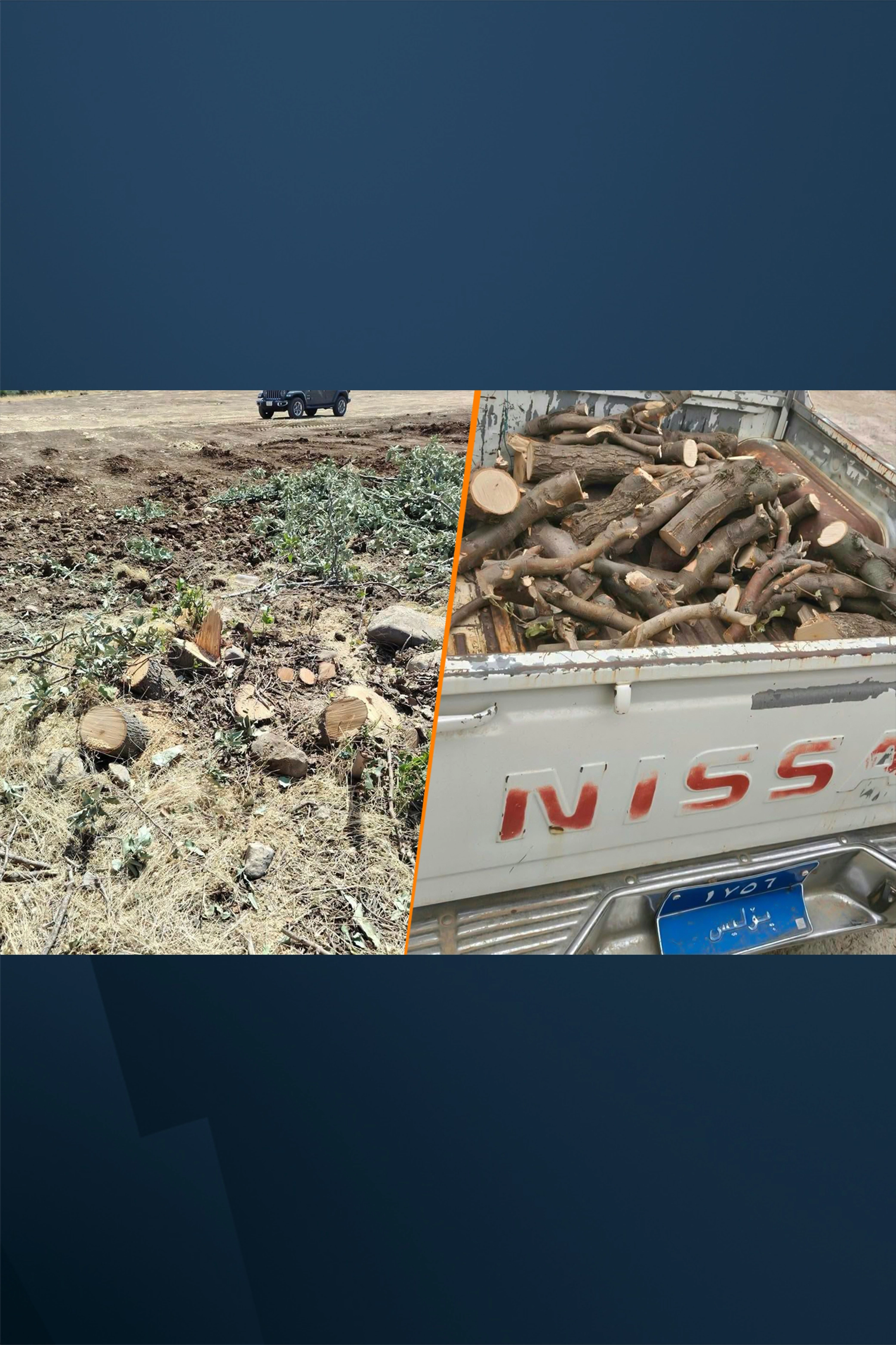 Kurdistan Region tightens enforcement against illegal logging, arrests 18