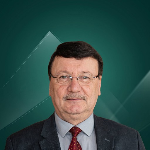 خيري بوزاني